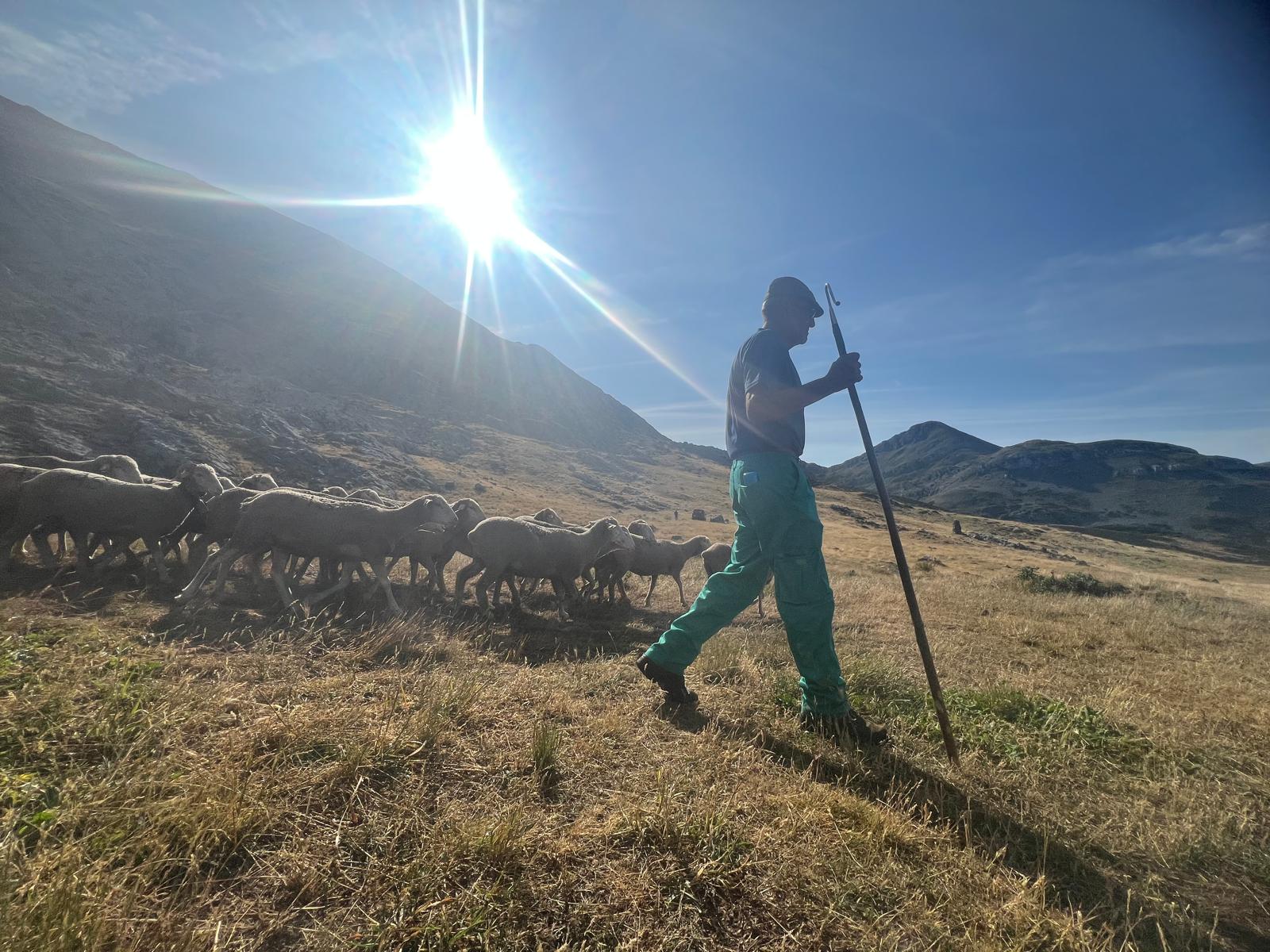 Aventura trashumante en La Cueta de Babia (10)