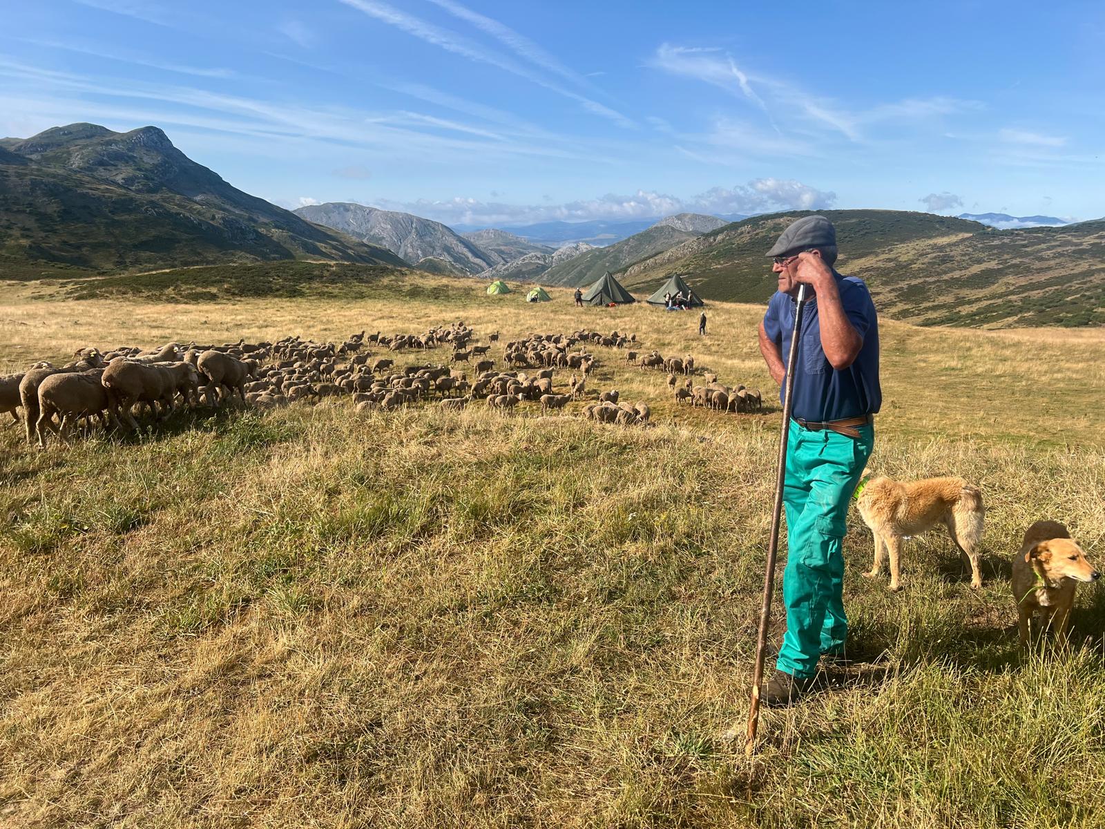 Aventura trashumante en La Cueta de Babia (11)
