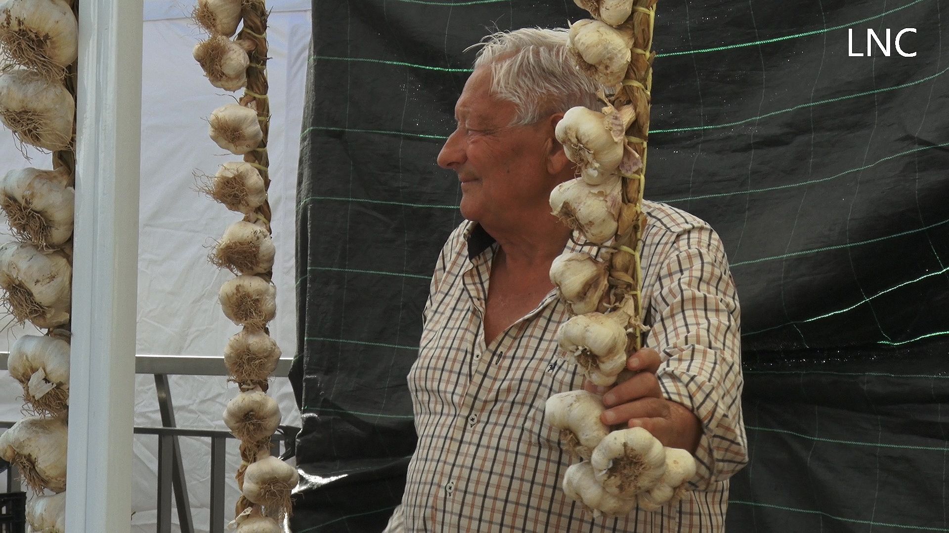 El ajo se luce en Veguellina