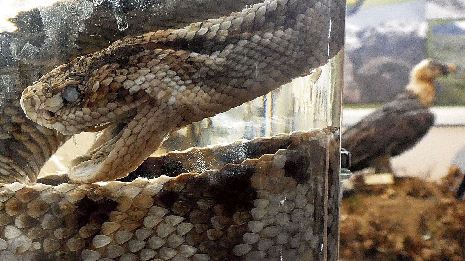 Se mire por donde se mire, este museo no va a dejar a nadie indiferente. | GREGORIO FERNÁNDEZ CASTAÑÓN