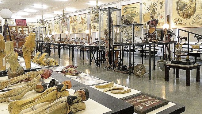 Panorámica del interesante Gabinete de Ciencias Naturales (siglo XIX). Panorámica del interesante Gabinete de Ciencias Naturales (siglo XIX).