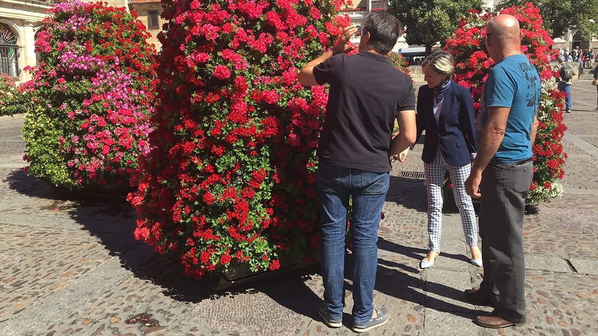 2016-07-16-jardineras-portatiles1.jpg