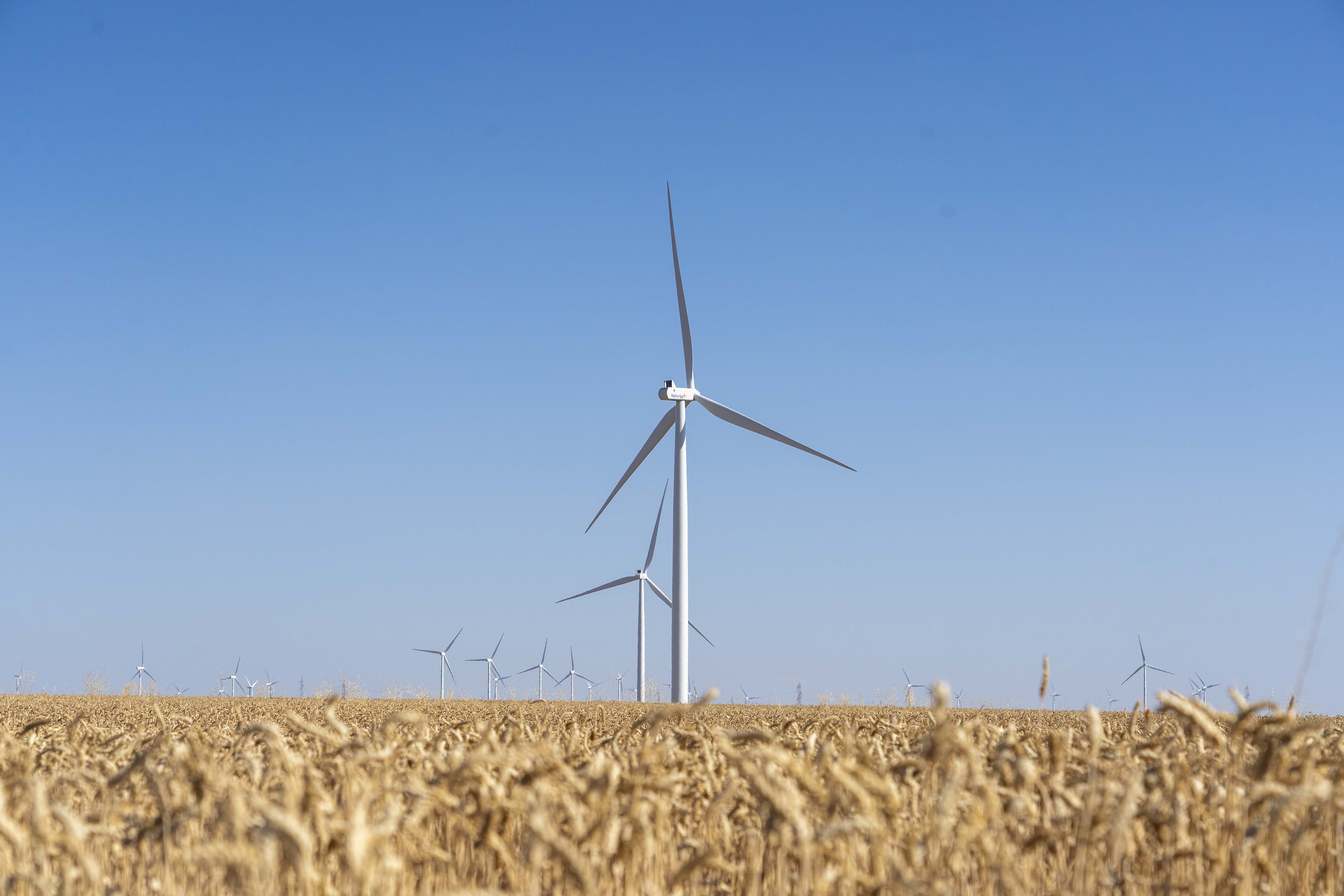 Molinos eólicos en Tierra de Campos. |MIRIAM CHACÓN
