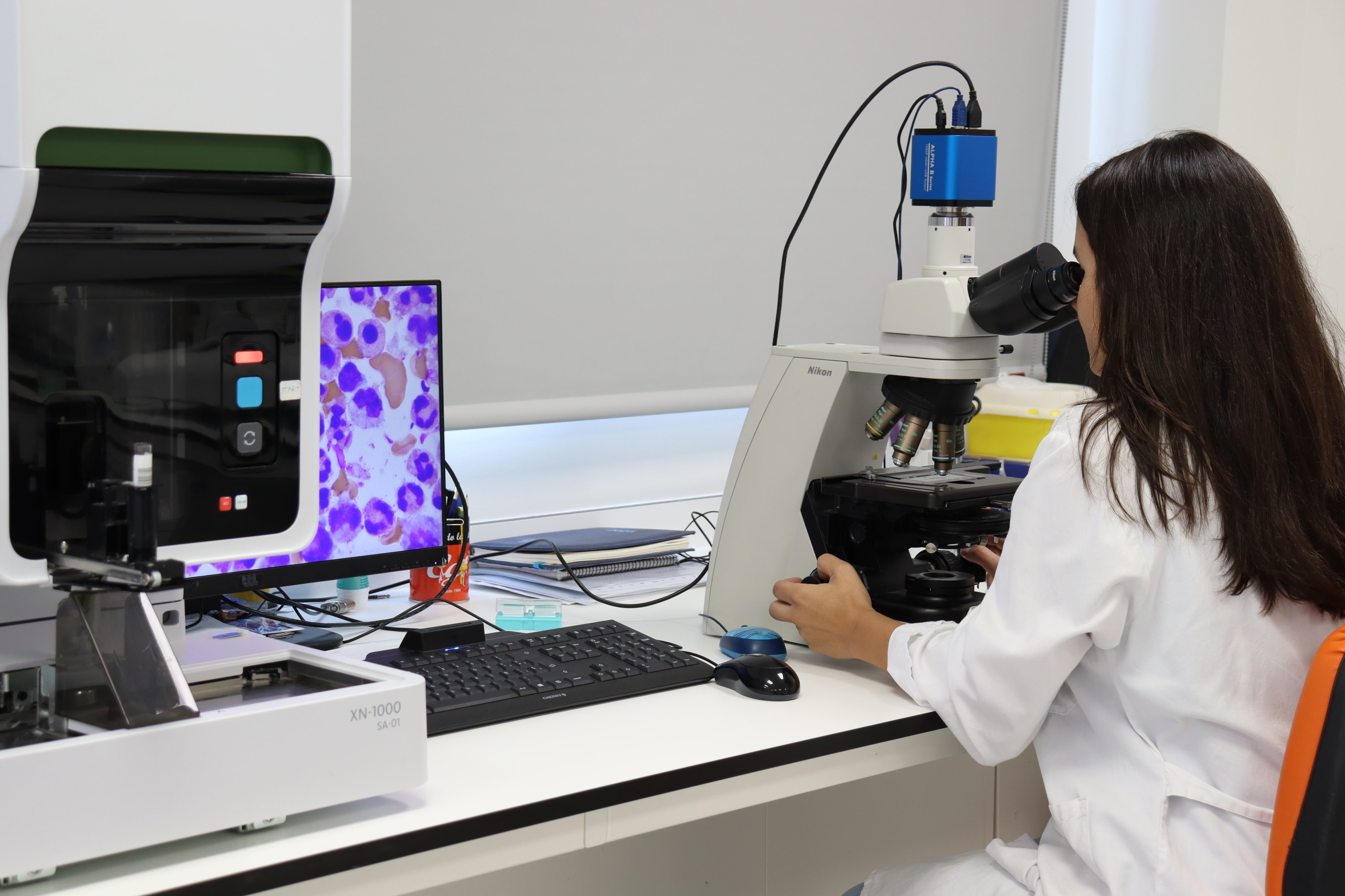 Análisis de células en microscopio. |JCYL