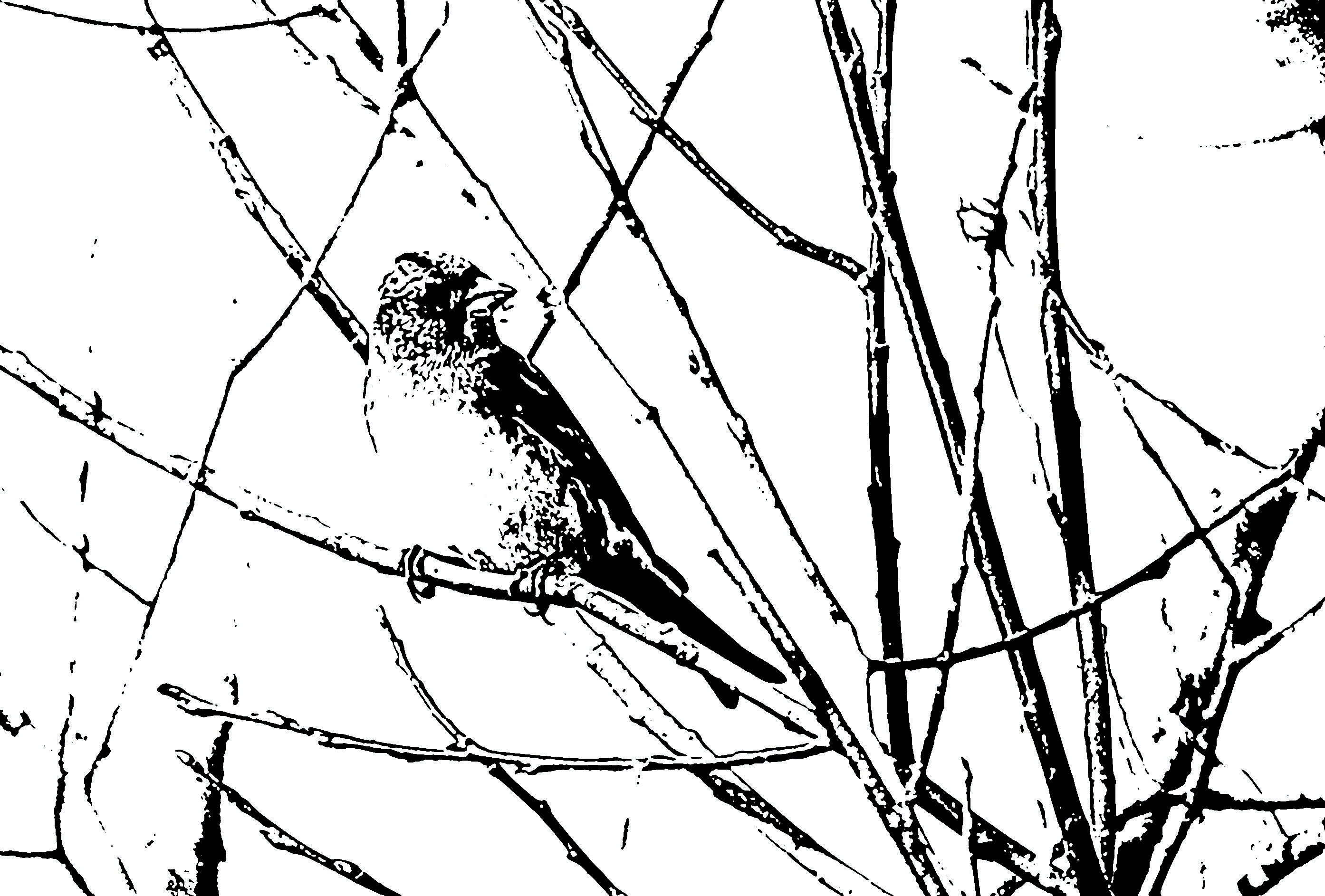 Ahí, donde tú habites. |LNC