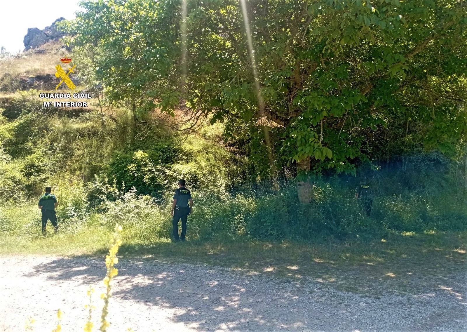 Buscan en el mirador de Vegamián a un hombre de 66 años desaparecido en La Robla