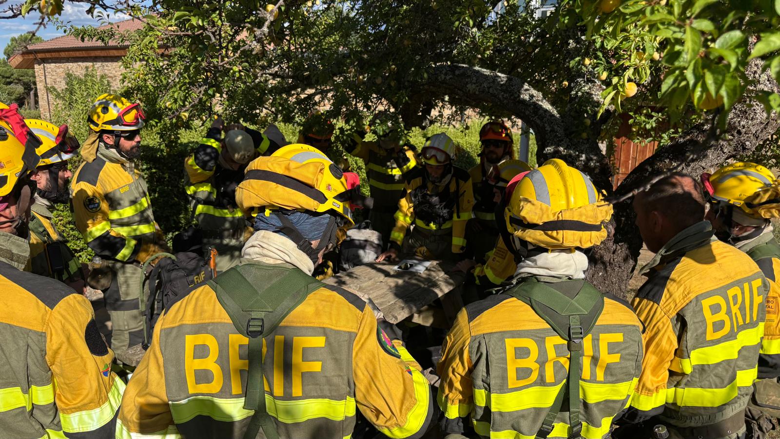 Imagen de la Brigada de Refuerzo en Incendios Forestales actuando en la zona. |BRIF TABUYO