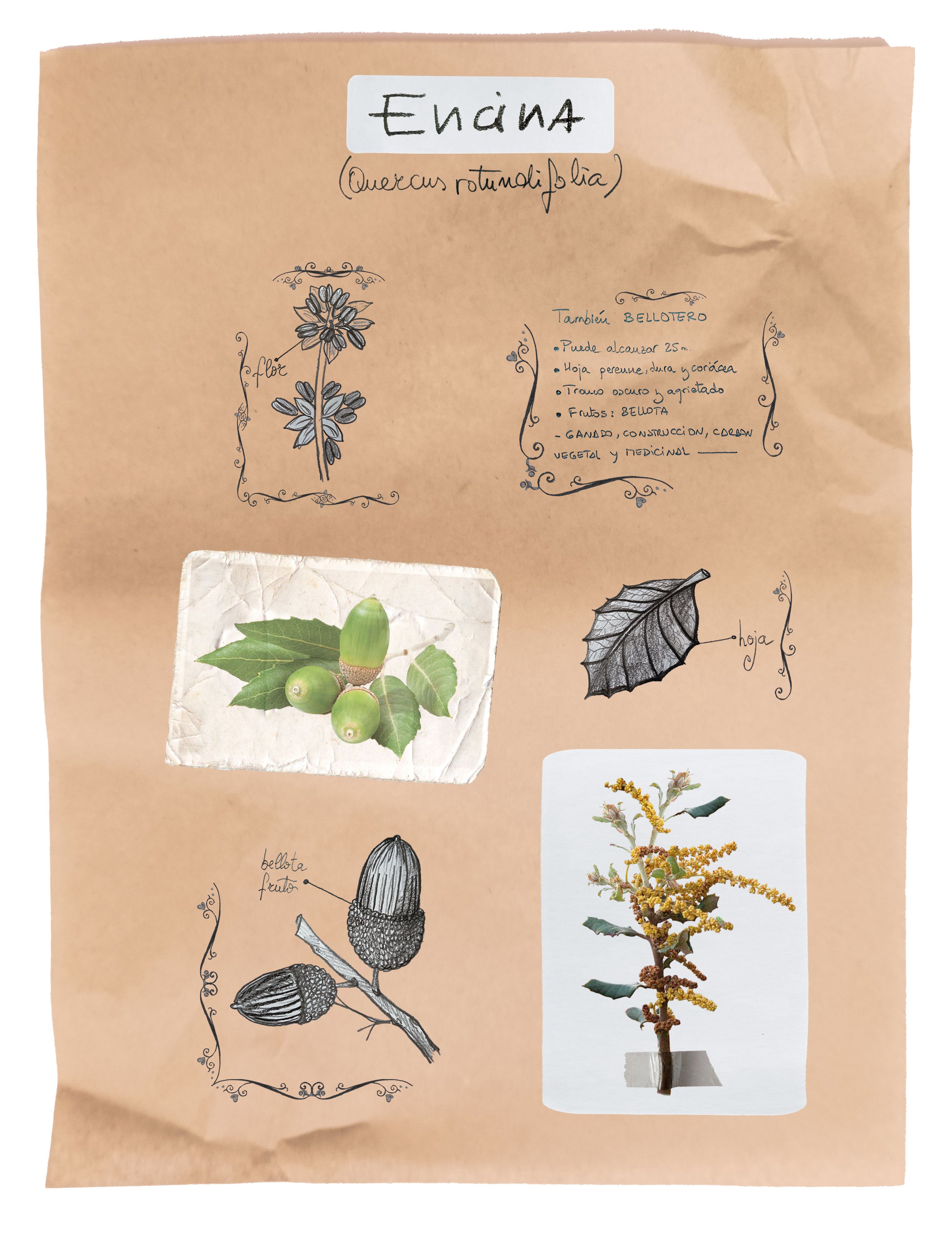 | MAYKA GARCÍA Y NOELIA GARCÍA