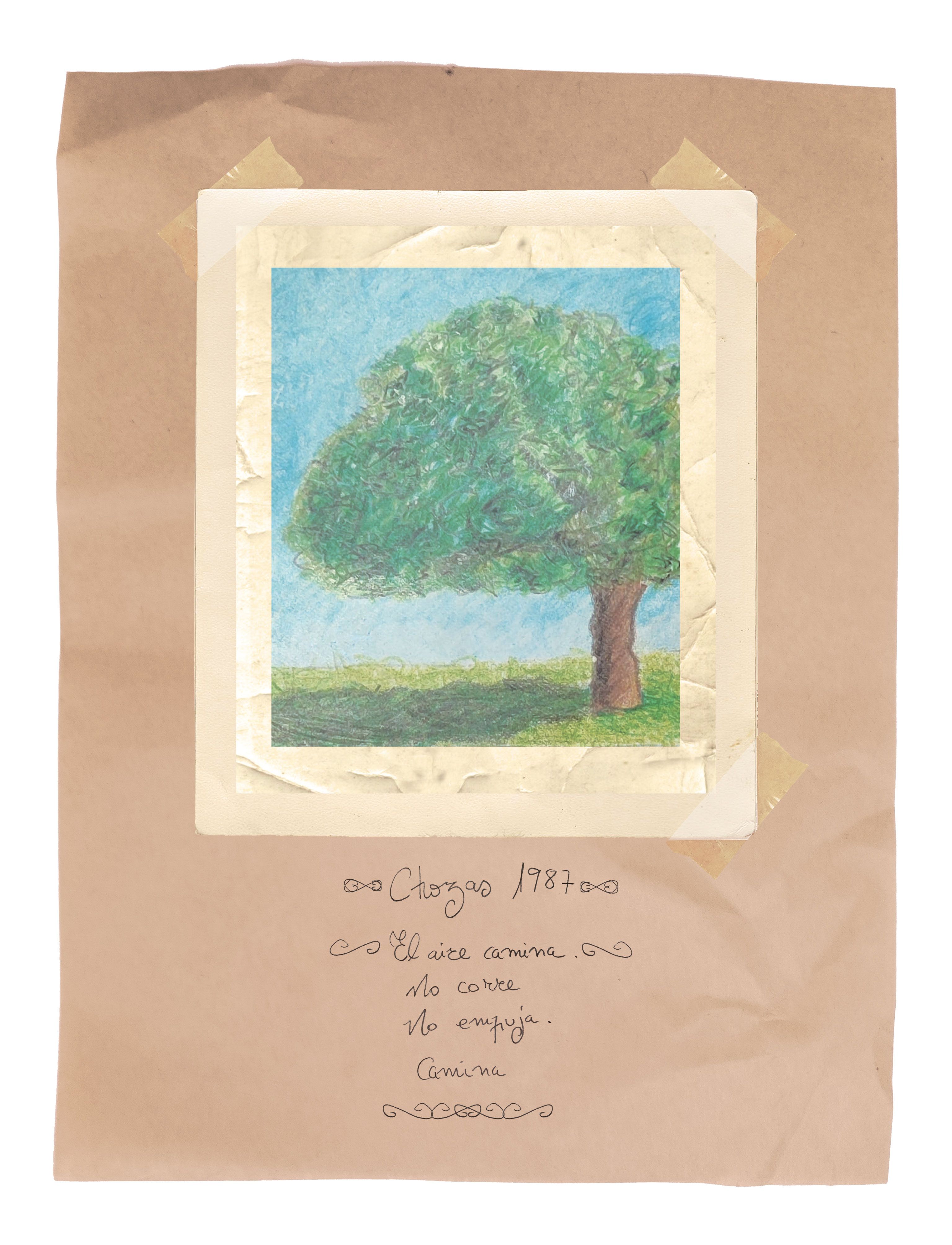 Imagen 4 ENCINA 2 Imagen 4 ENCINA 2