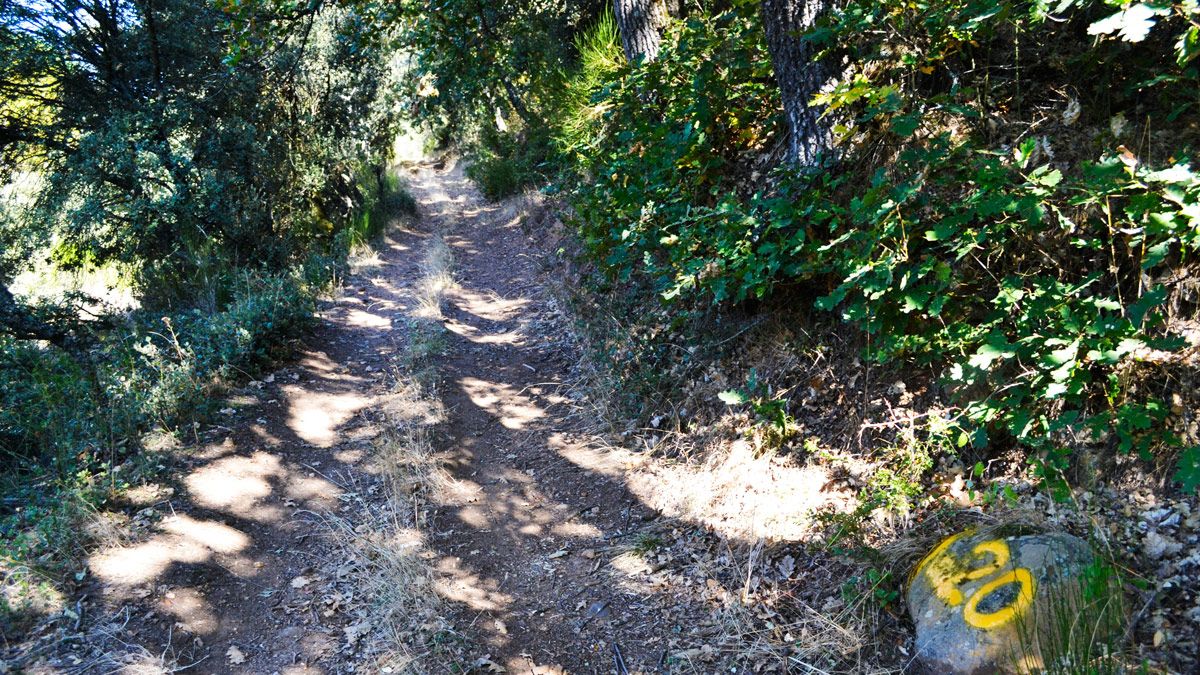 La etapa que se presenta hoy recorre un camino con una enorme diversidad botánica que coincide con la ruta de ‘Las encinas del Bernesga’. | J.A. Cuñarro