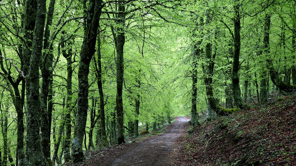 El Parque Nacional de Picos cuentas con espectaculares sendas y paisajes. | ICAL El Parque Nacional de Picos cuentas con espectaculares sendas y paisajes. | ICAL