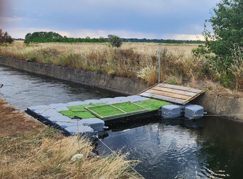 Dispositivo de salida de animales instalado por la CHD en el Canal de Arriola. | L.N.C.