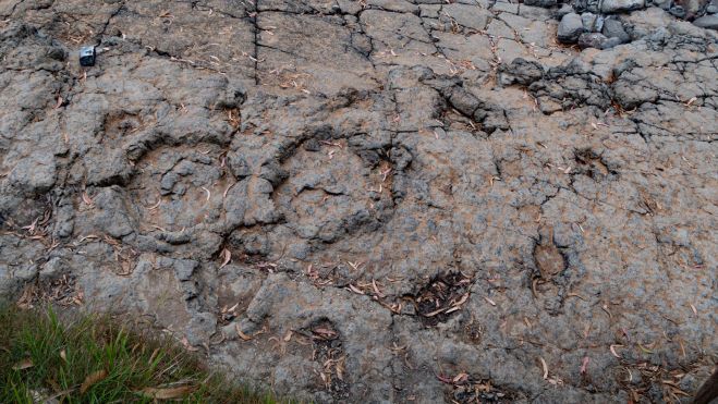 11 Icnitas en la Griega