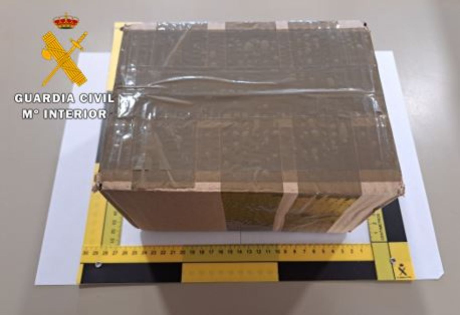 Detenido en León un hombre como presunto autor de un delito contra la salud pública tras recibir un paquete con marihuana Detenido en León un hombre como presunto autor de un delito contra la salud pública tras recibir un paquete con marihuana