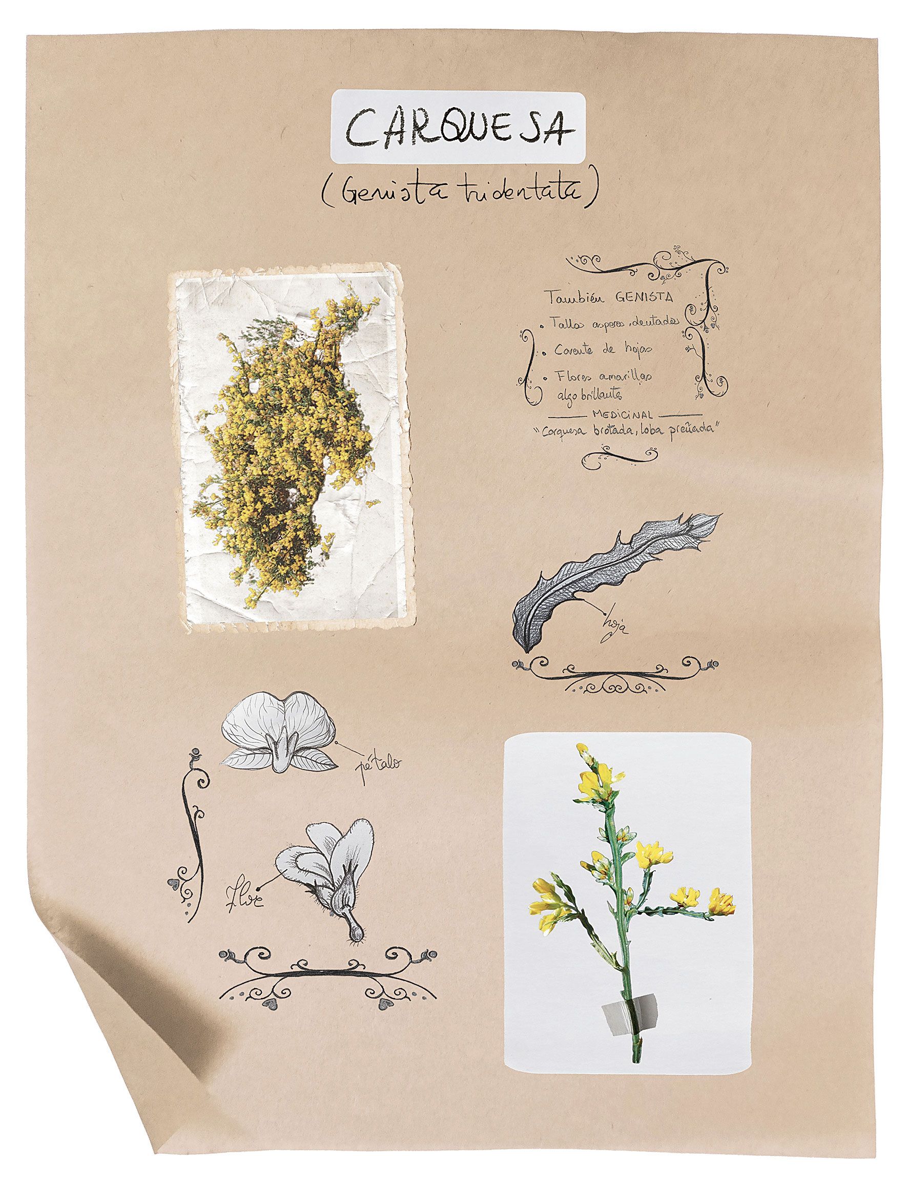 | MAIKA GARCÍA Y NOELIA GARCÍA