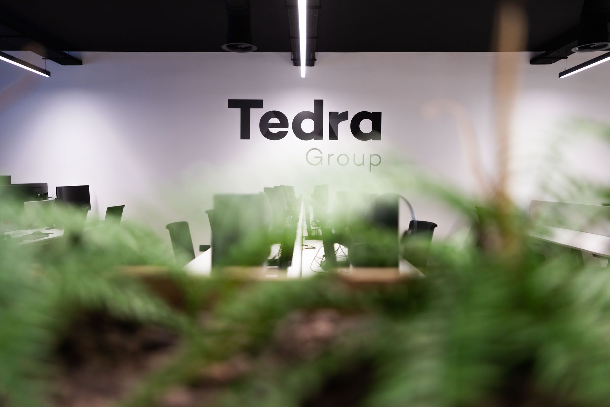 Tedra es una compañía leonesa que lleva más de 13 años en el sector. |TEDRA