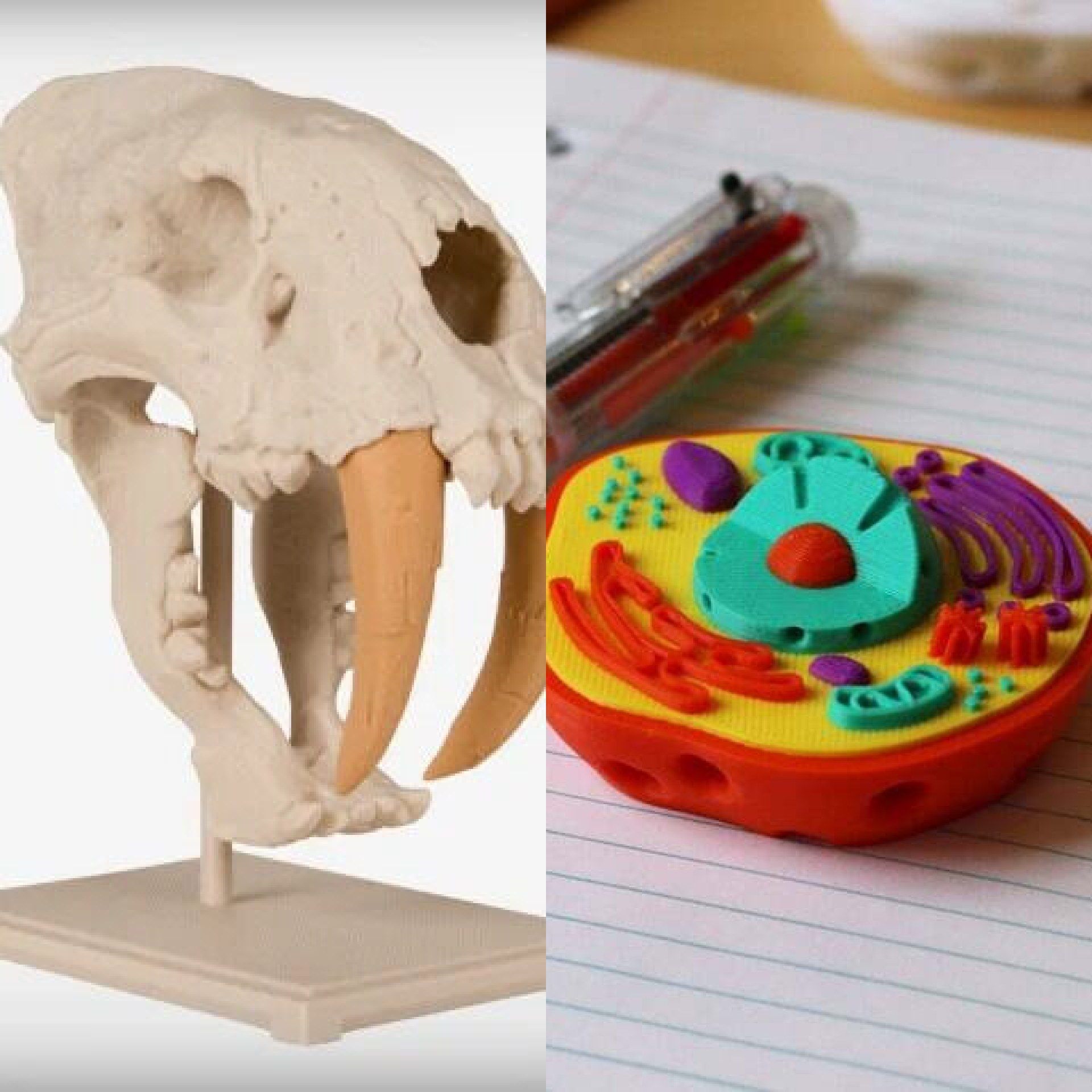 Todo el material lo ha desarrollado la empresa por iniciativa propia como apoyo al proyecto. | LEON3D