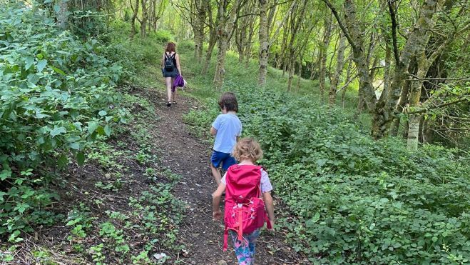 10 El camino por el bosque (Foto Alicia G.Bermejo) 10 El camino por el bosque (Foto Alicia G.Bermejo)