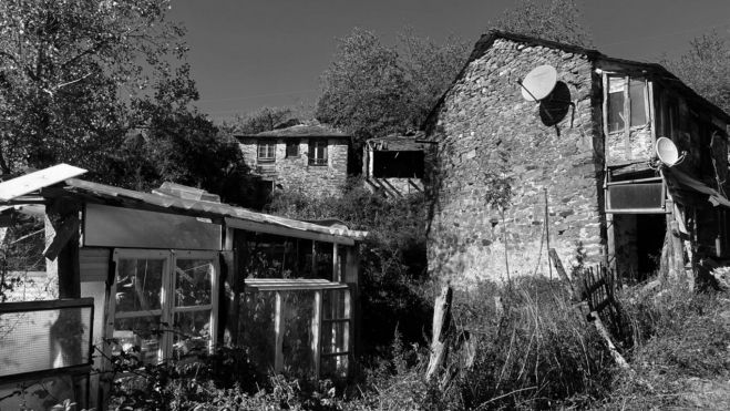 Un intento de volver a la vida desde el abandono. OLGA ORALLO