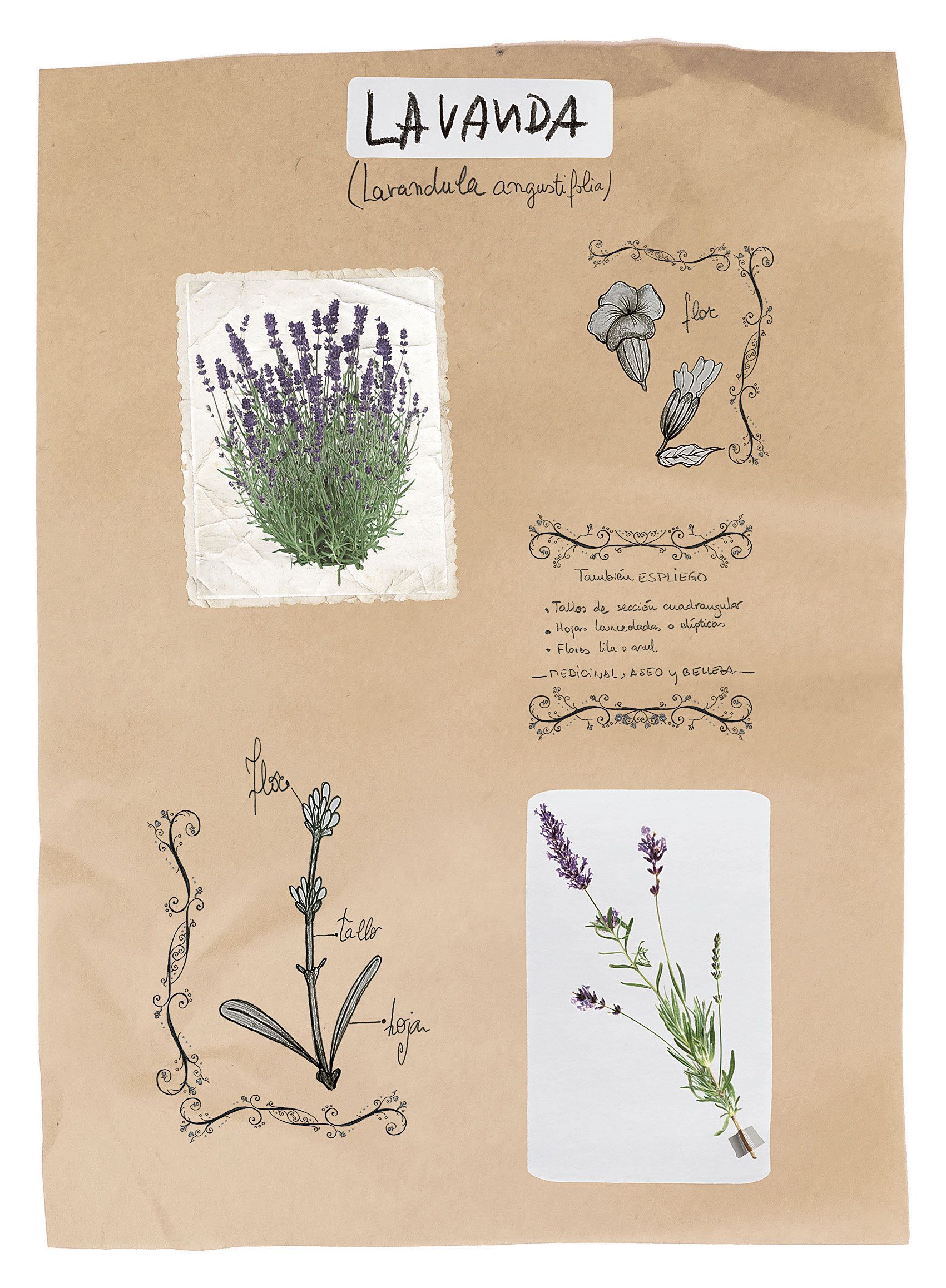 | MAIKA GARCÍA Y NOELIA GARCÍA