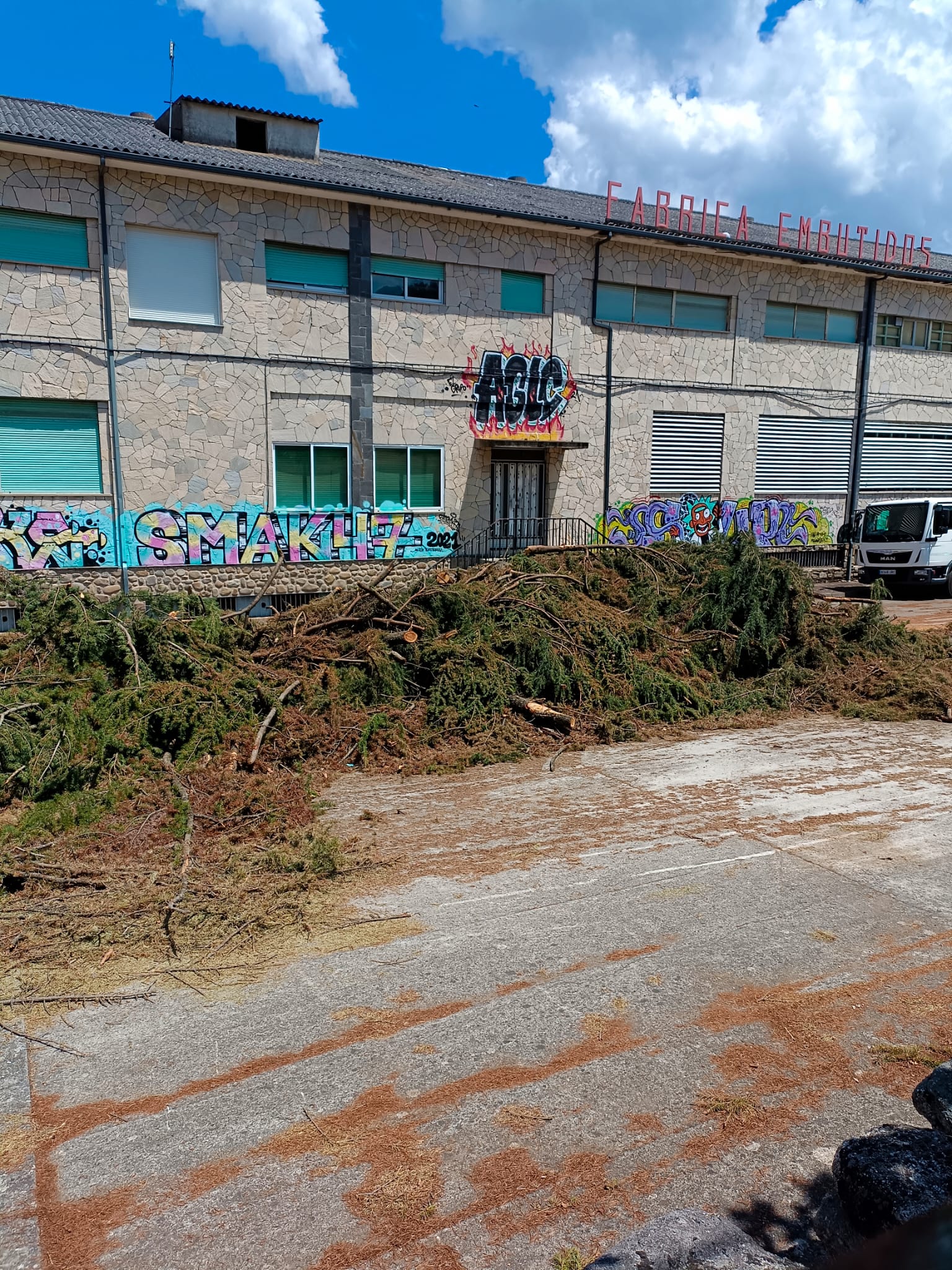 Naves de Frimols, donde se están cortando árboles para acondicionar la zona. 