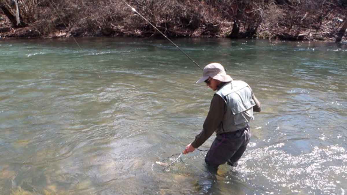 Un pescador, en plena faena en uno de los ríos de la provincia. | R.P.N.