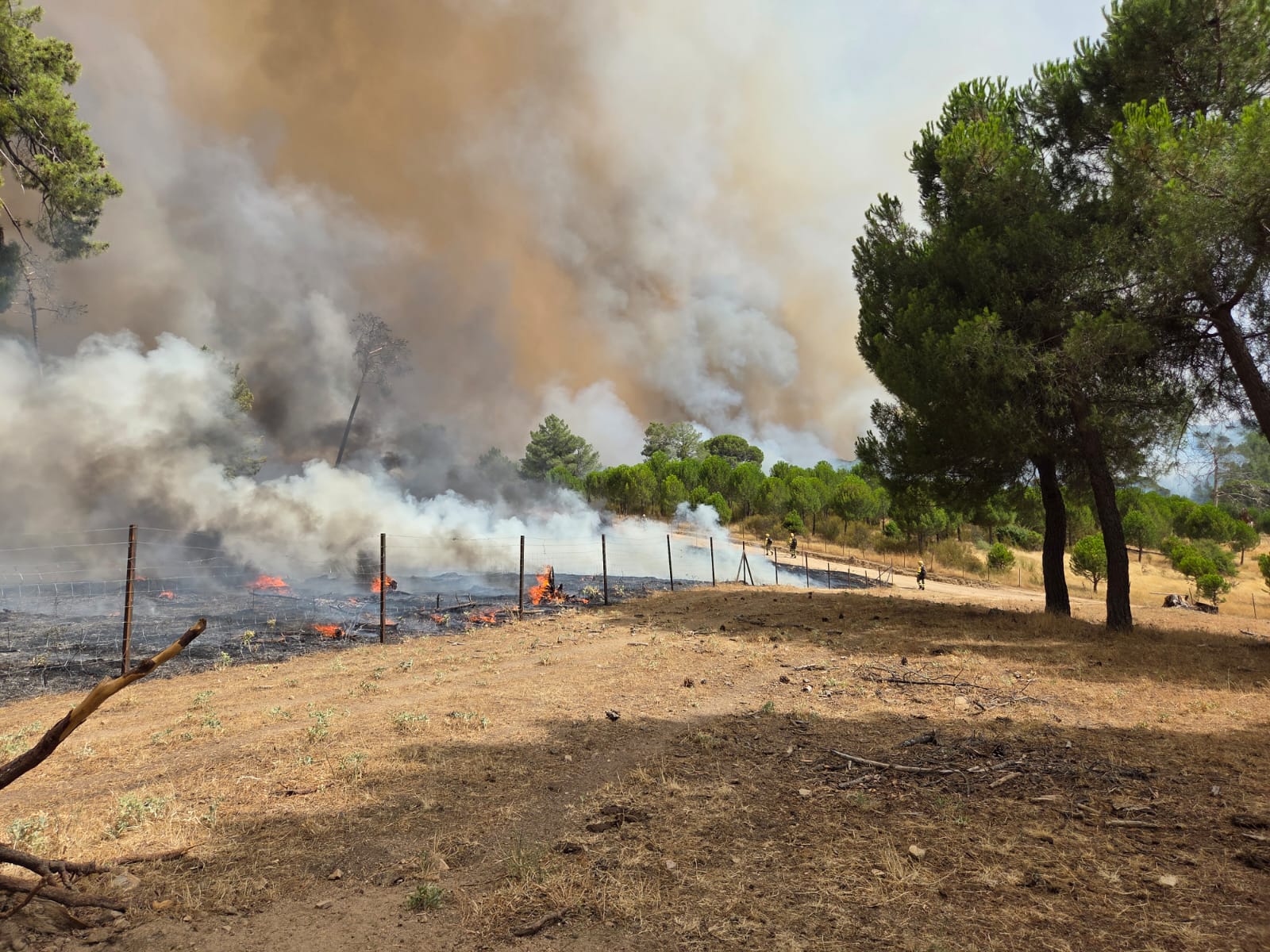 Incendio de San Bartolomé de Pinares (Ávila). | ATBRIF