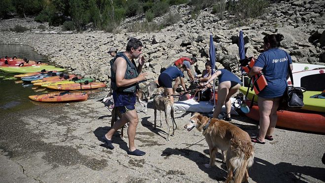 PerrosPiraguismo2 PerrosPiraguismo2