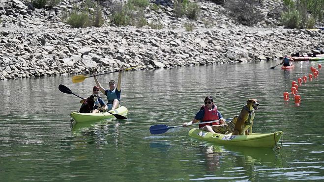 PerrosPiraguismo3 PerrosPiraguismo3