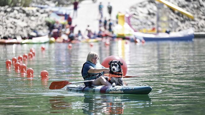 PerrosPiraguismo4 PerrosPiraguismo4