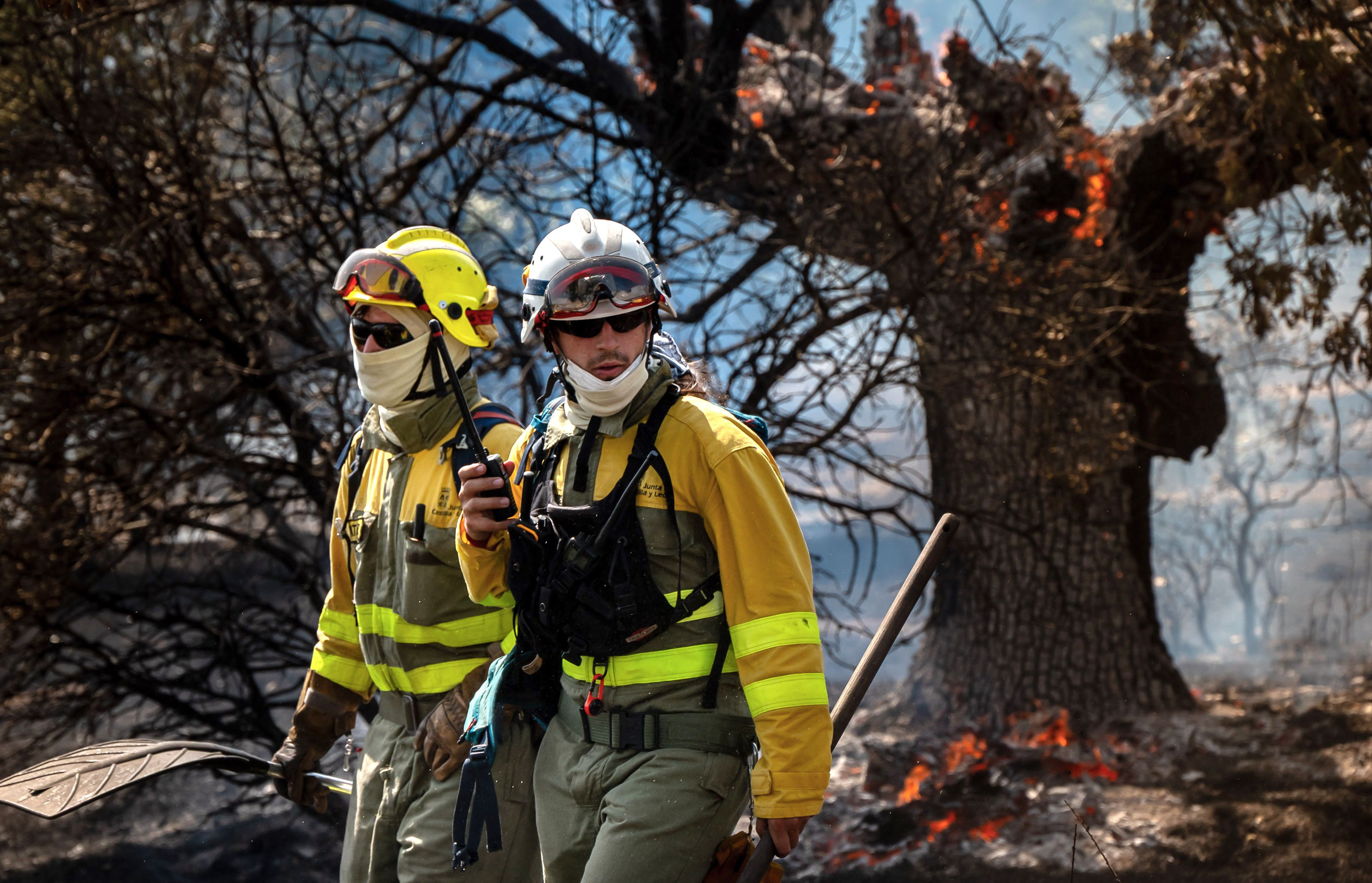 Profesionales que están luchando contra el fuego en la comunidad autónoma. | ICAL