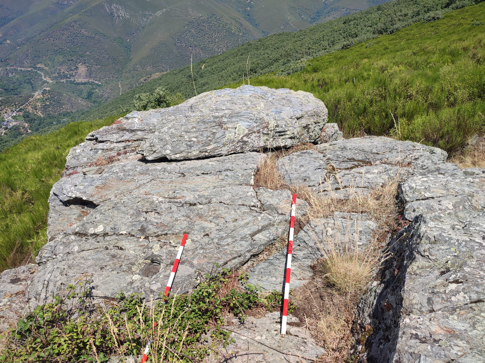 Imagen de algunos petroglifos aparecidos. 