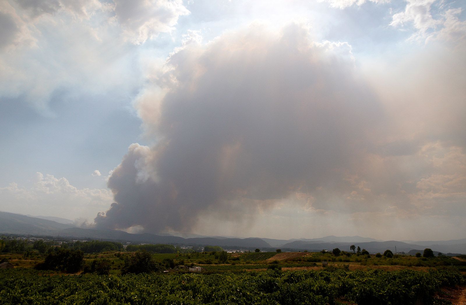 El límite entre El Bierzo y la Cabrera es la zona más afectada por el fuego. | ICAL