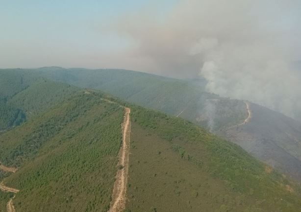 Incendio en Paradiña. | JCYL