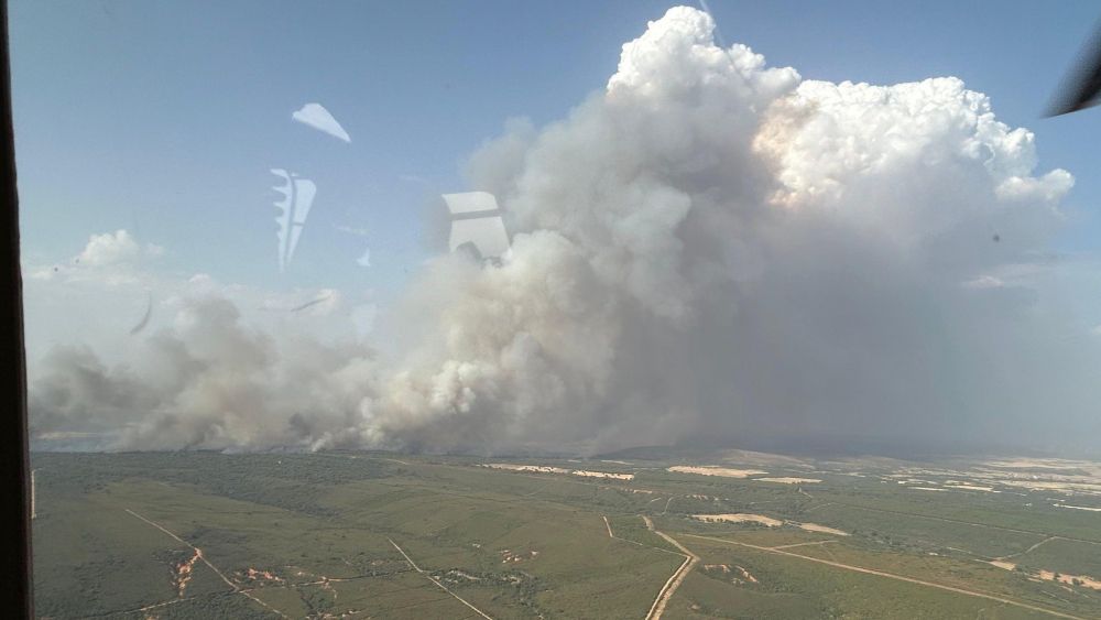 incendio zamora león brif