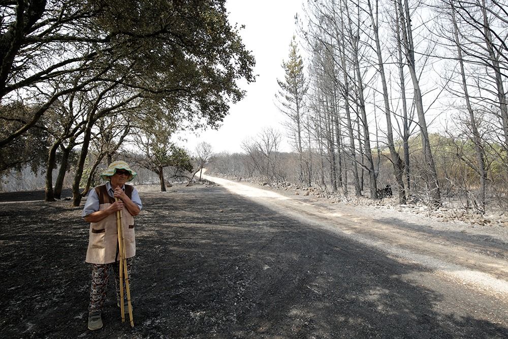El incendio ha dejado paisajes totalmente calcinados. | FERNANDO OTERO