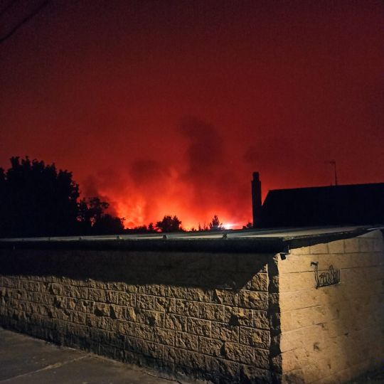 WhatsApp Image 2025 08 12 at 09.16.44 (1) WhatsApp Image 2025 08 12 at 09.16.44 (1)