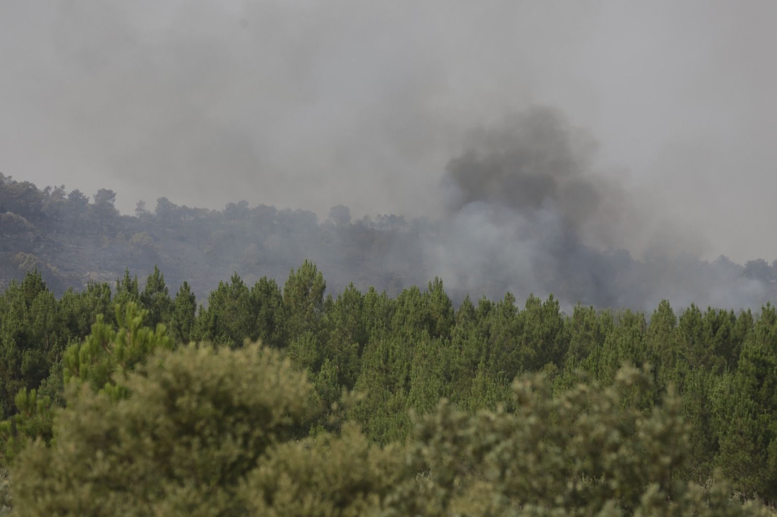 Una imagen del incendio de Castrocalbón este martes. | FERNANDO OTERO