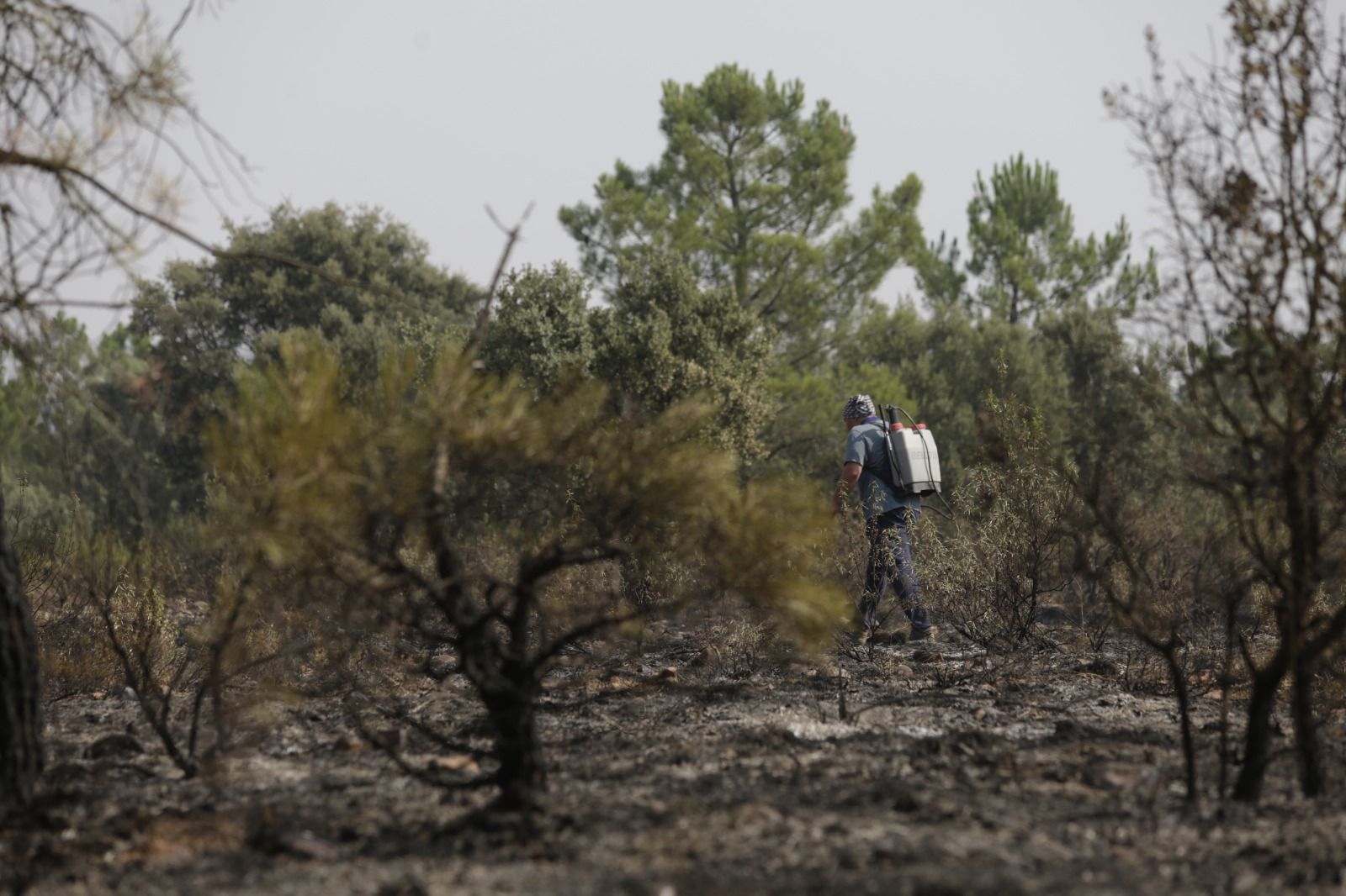 Un efectivo trabaja en el incendio de Castrocalbón. | FERNANDO OTERO
