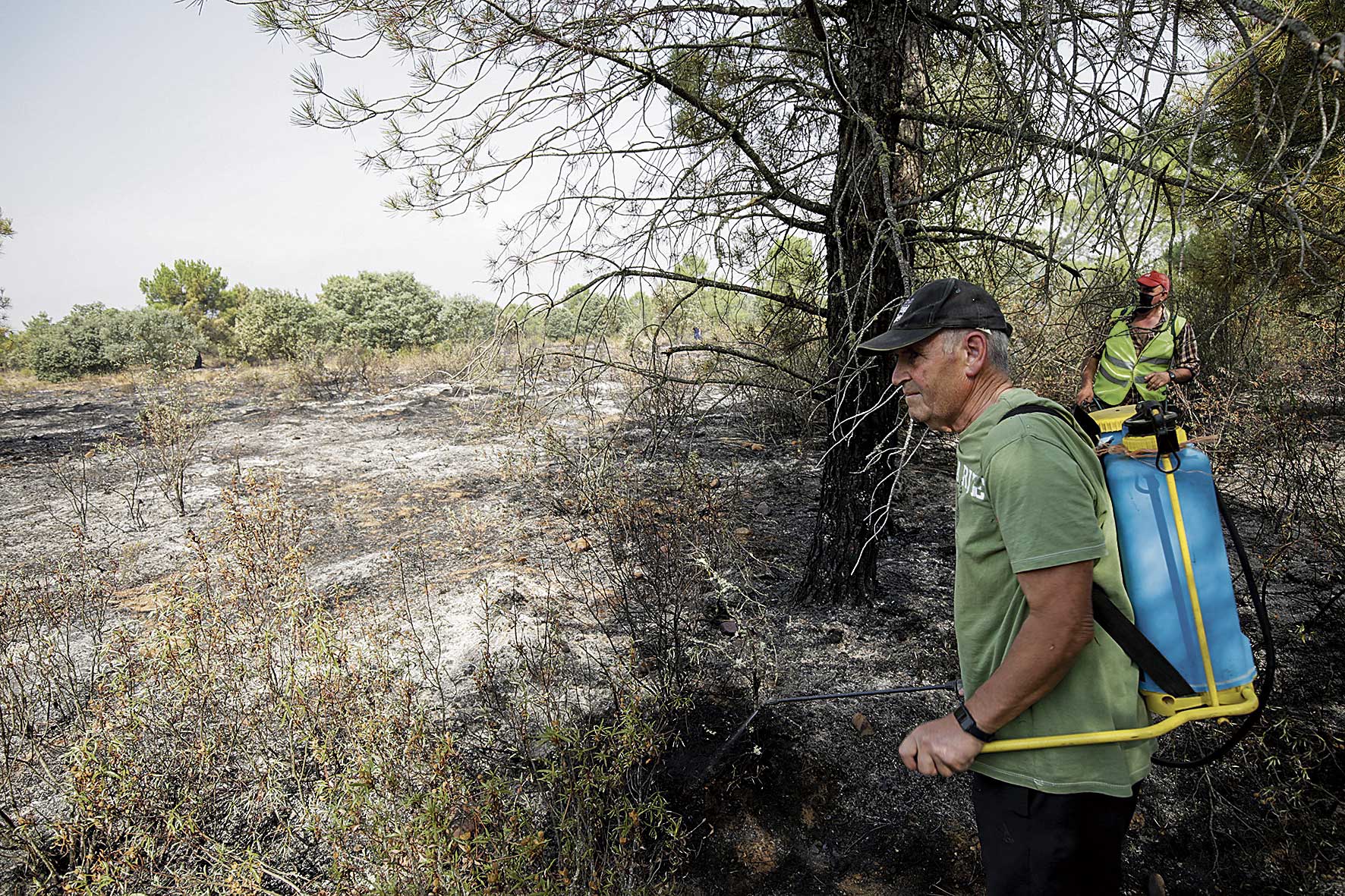 IncendiosLeónValdería
