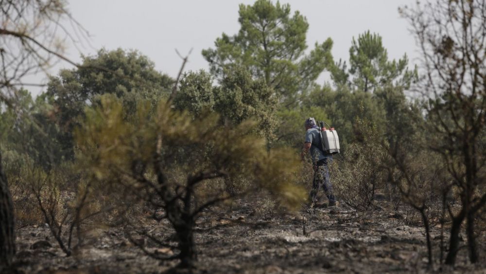 un efectivo trabaja en el incendio de castrocalbon