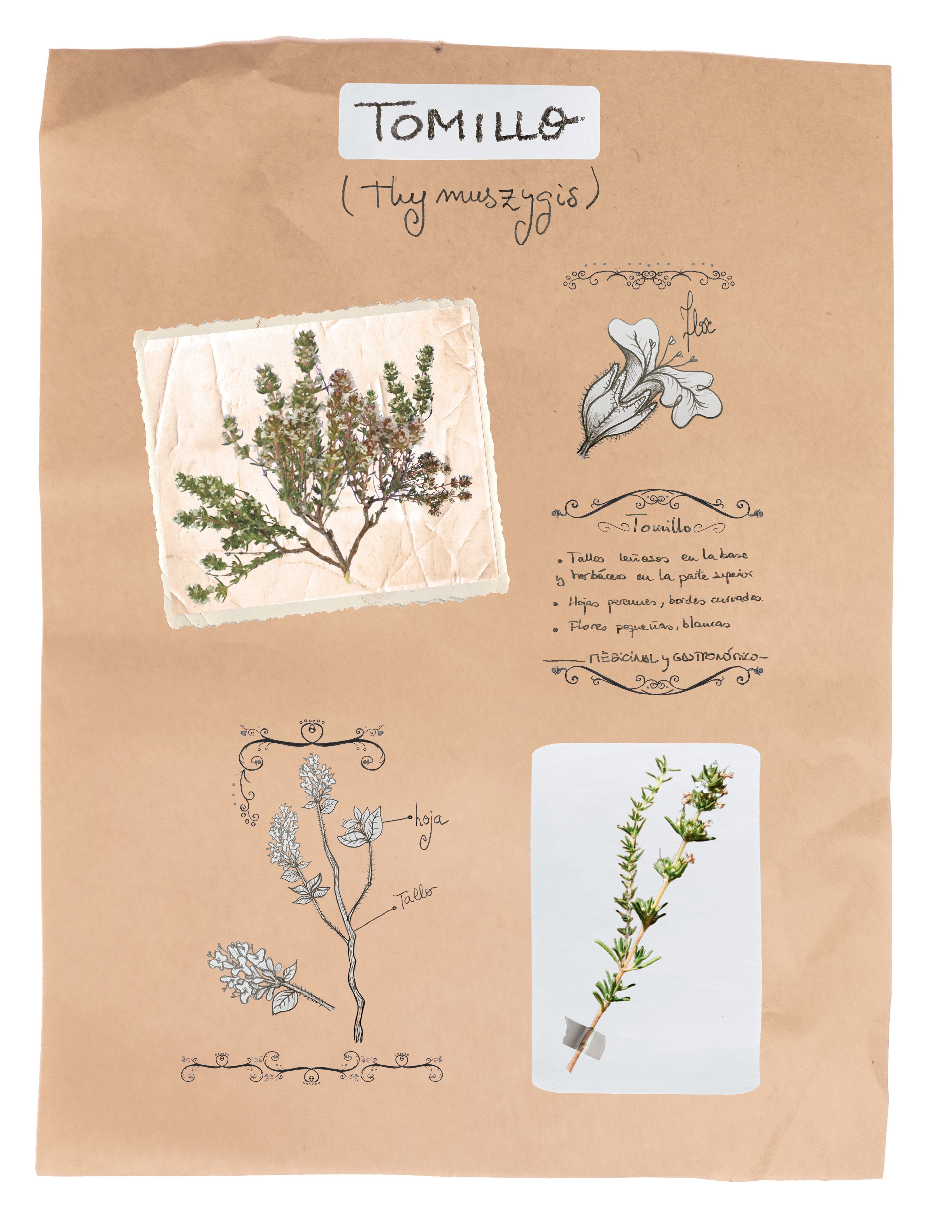 | MAIKA GARCÍA Y NOELIA GARCÍA