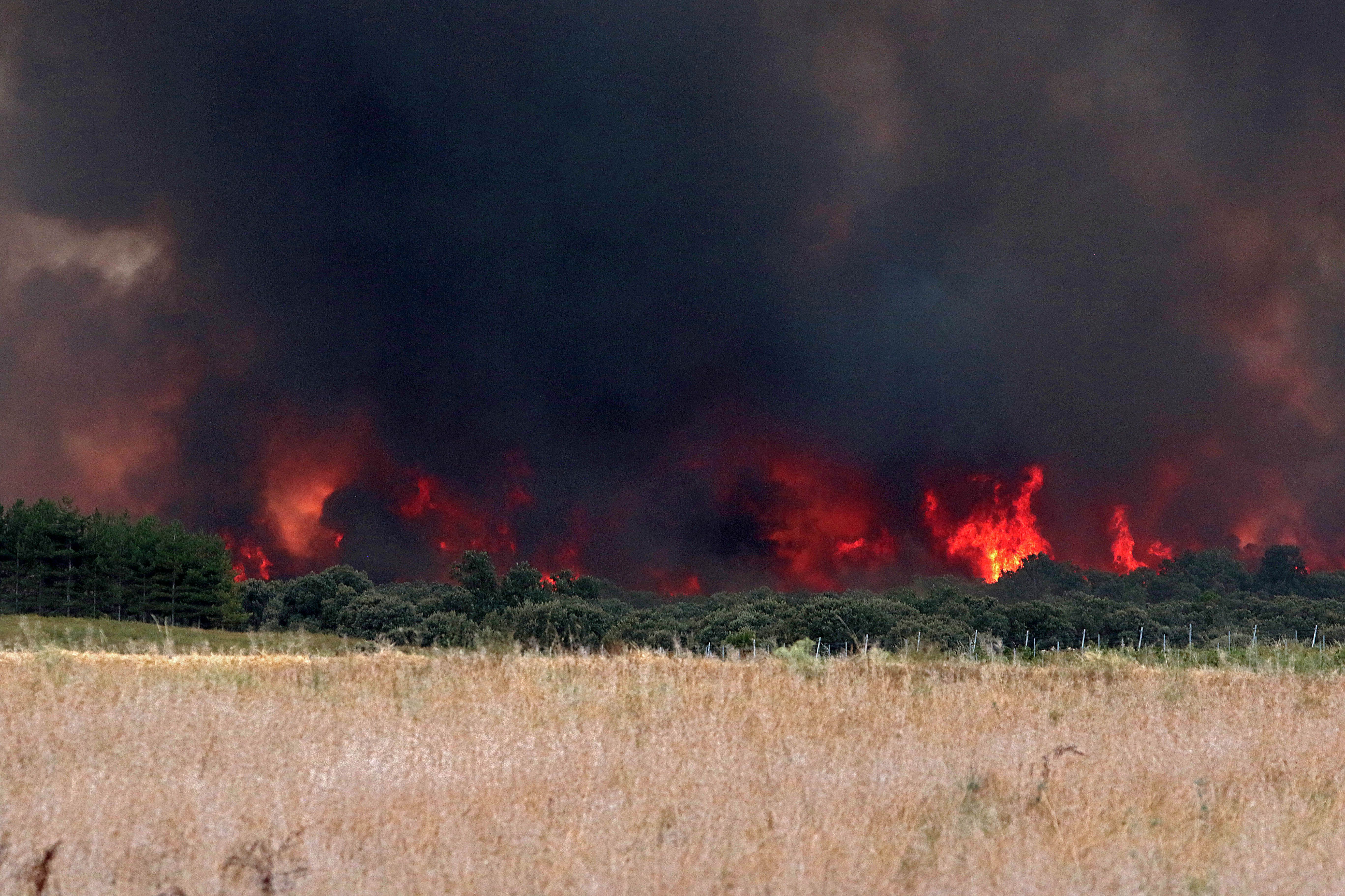 Imagen del incendio en Herreros de Jamuz. | PEIO GARCÍA (ICAL)