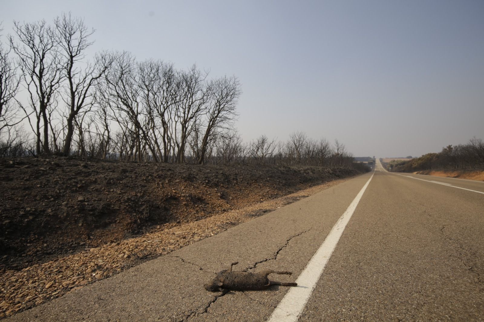 Incendio en la Valdería (8)
