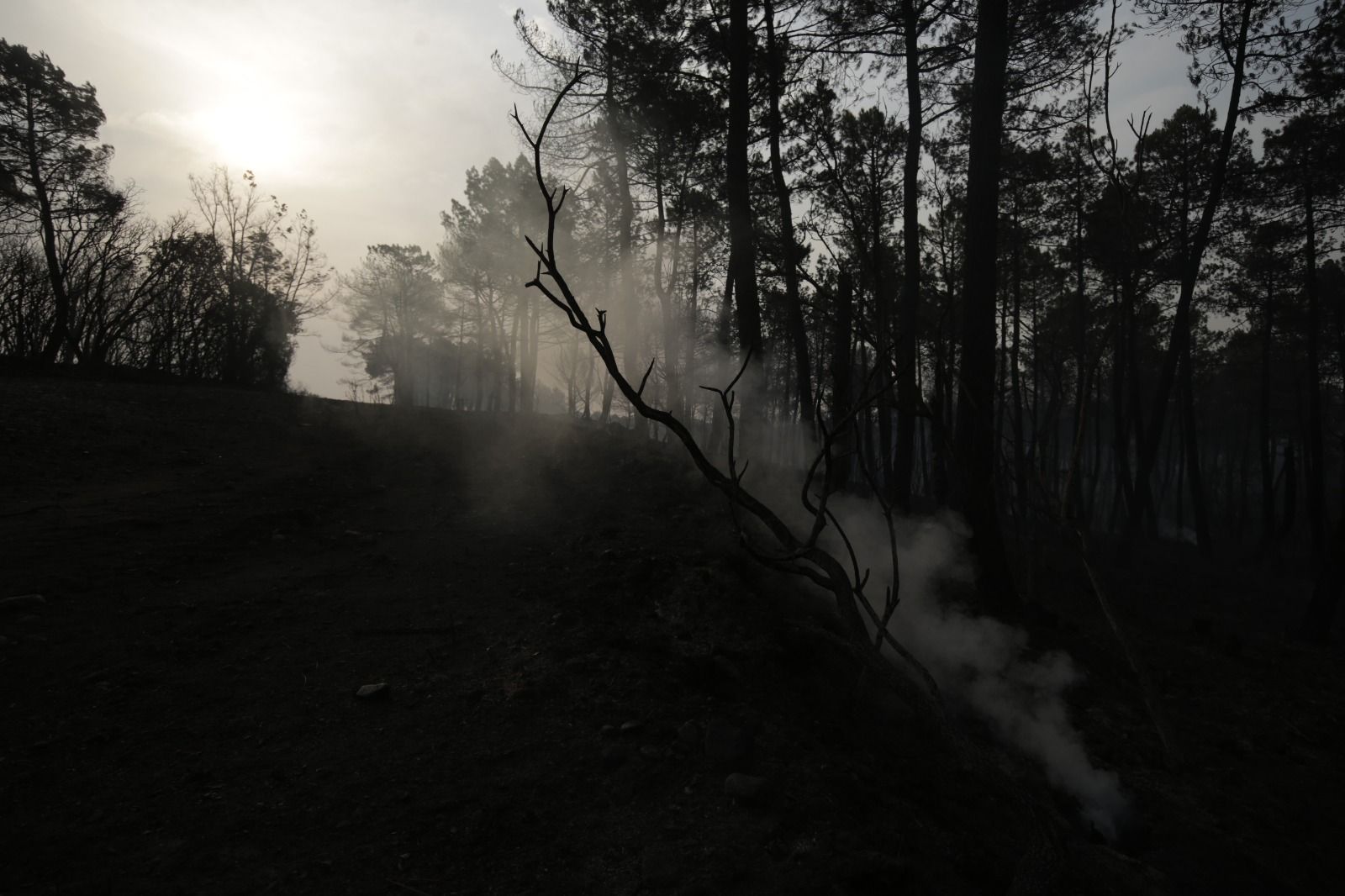 Incendio en la Valdería (2)