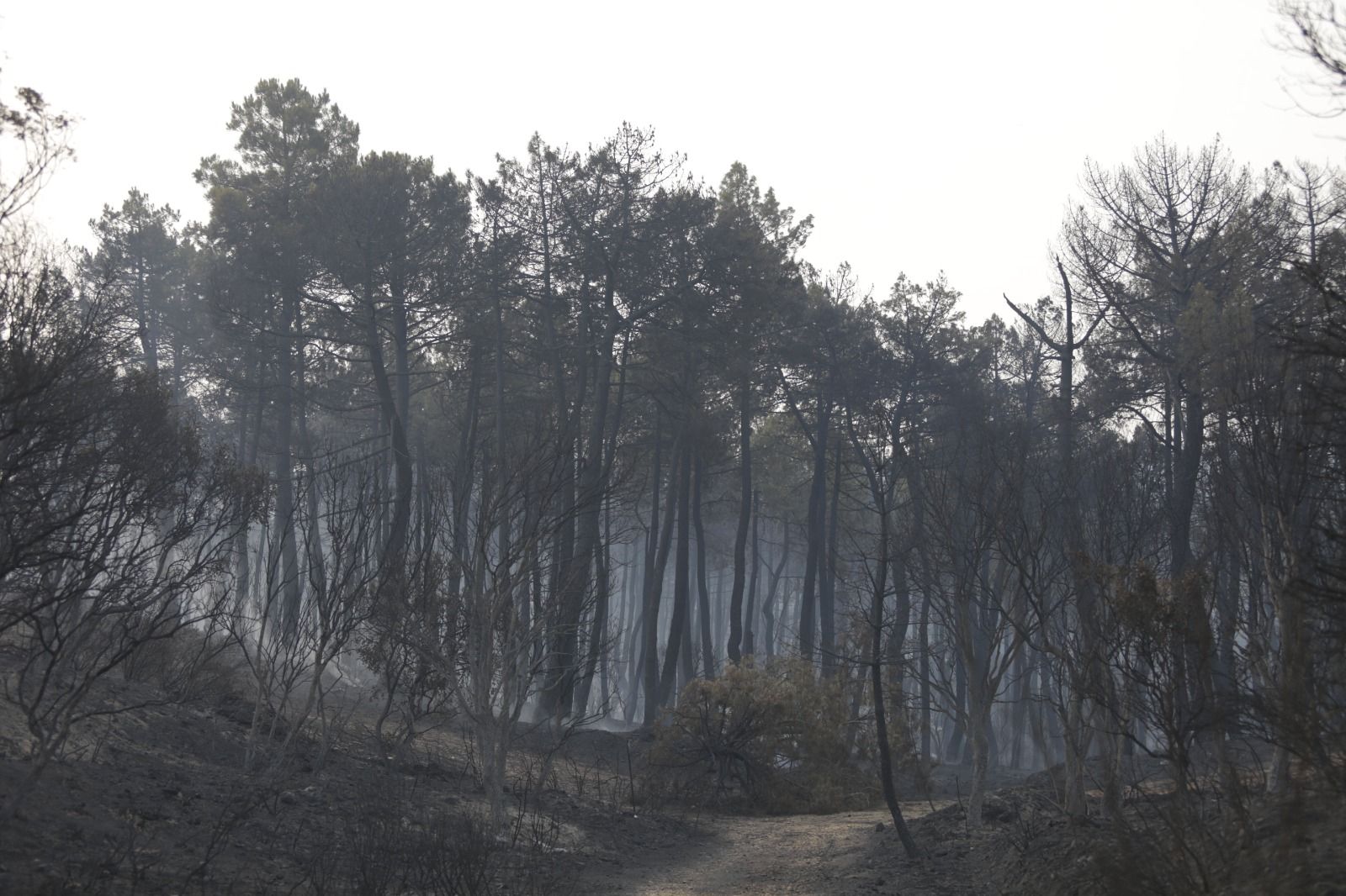 Incendio en la Valdería (3)