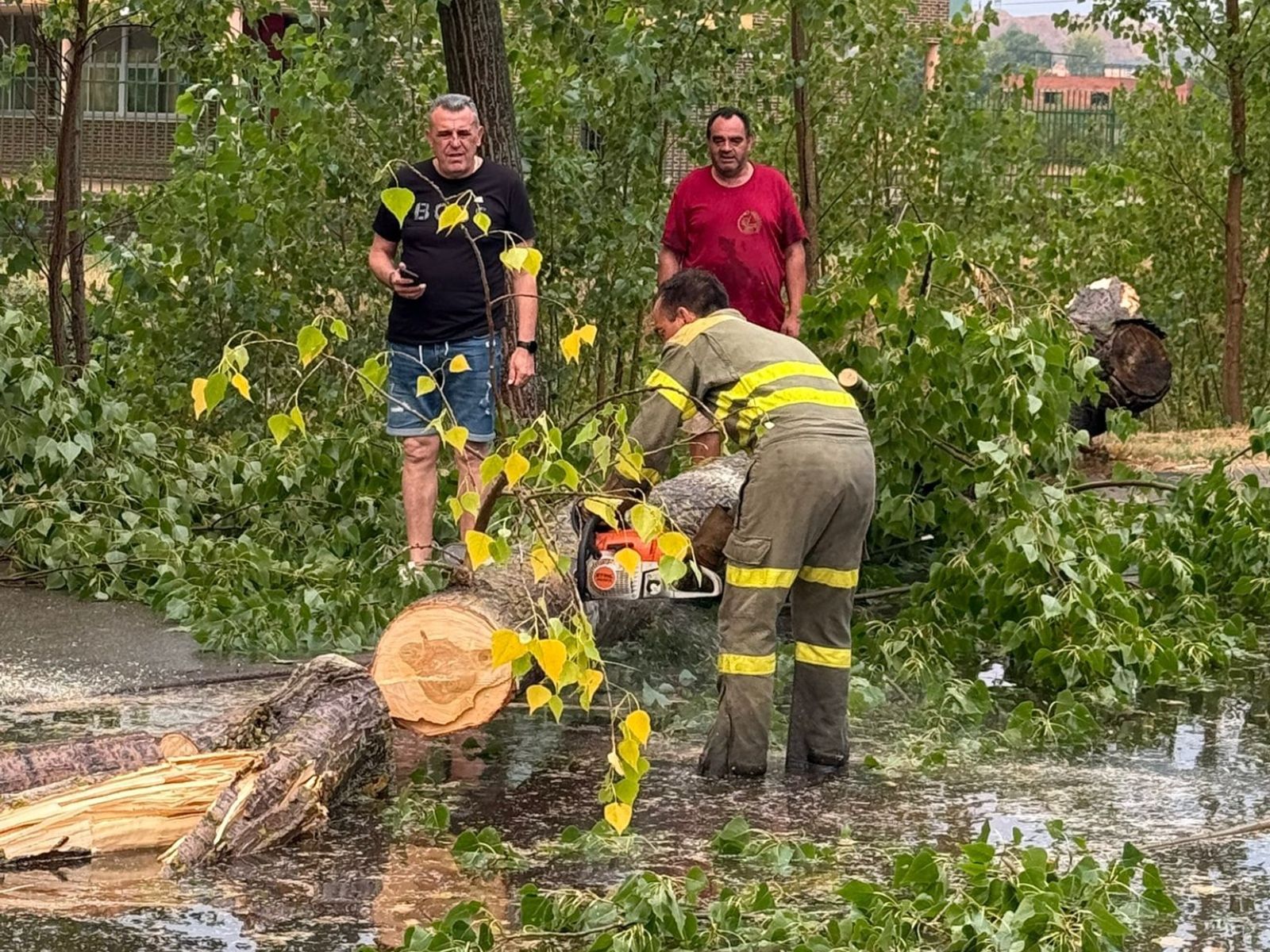 WhatsApp Image 2025 08 13 at 22.02.46 (1) WhatsApp Image 2025 08 13 at 22.02.46 (1)