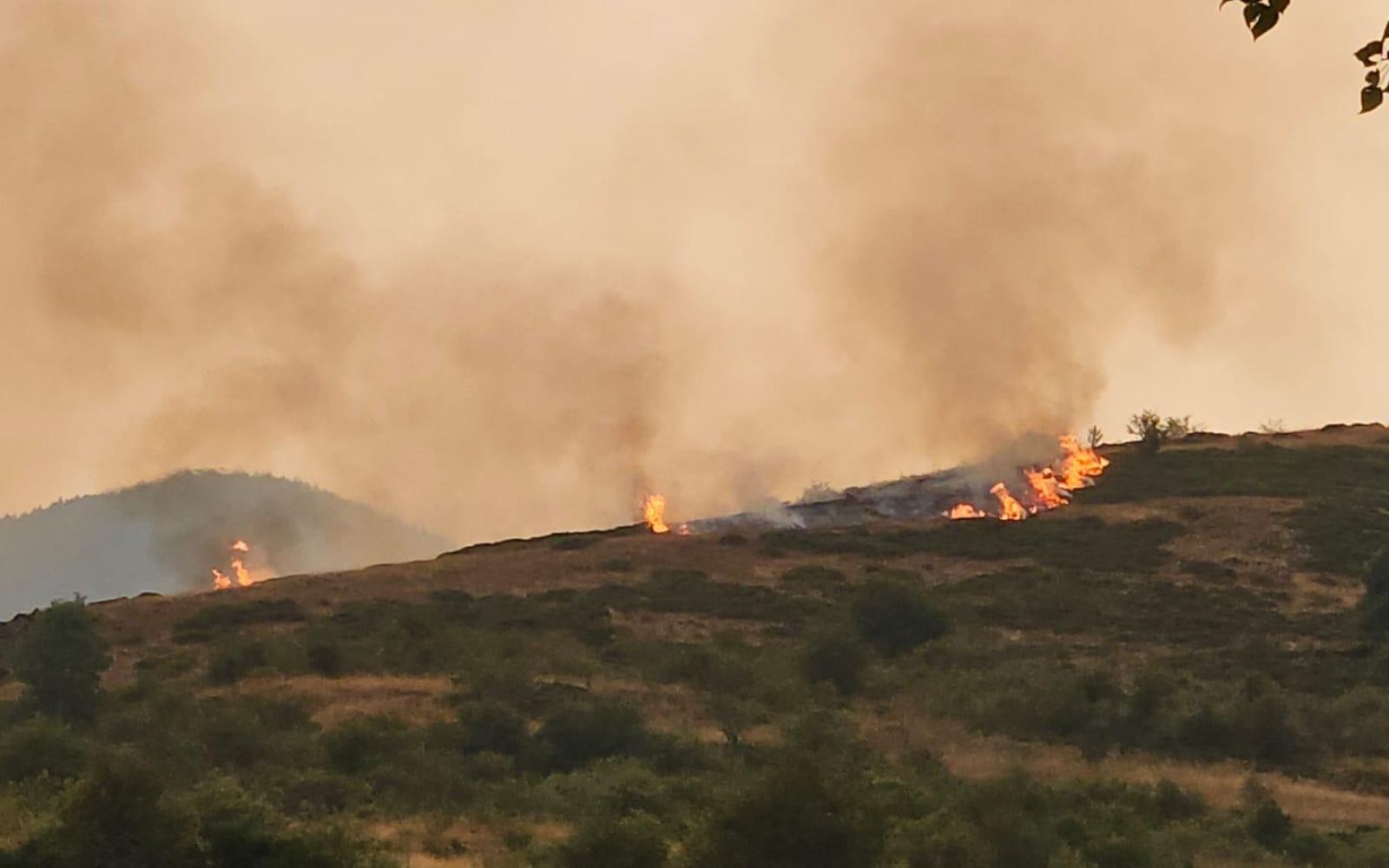 incendio carmenes (2) incendio carmenes (2)