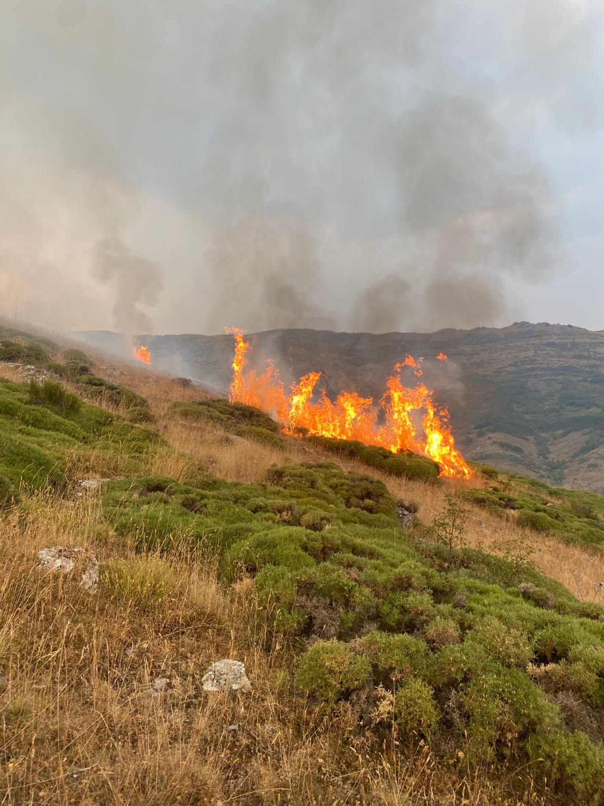 WhatsApp Image 2025 08 14 at 02.16.05 WhatsApp Image 2025 08 14 at 02.16.05