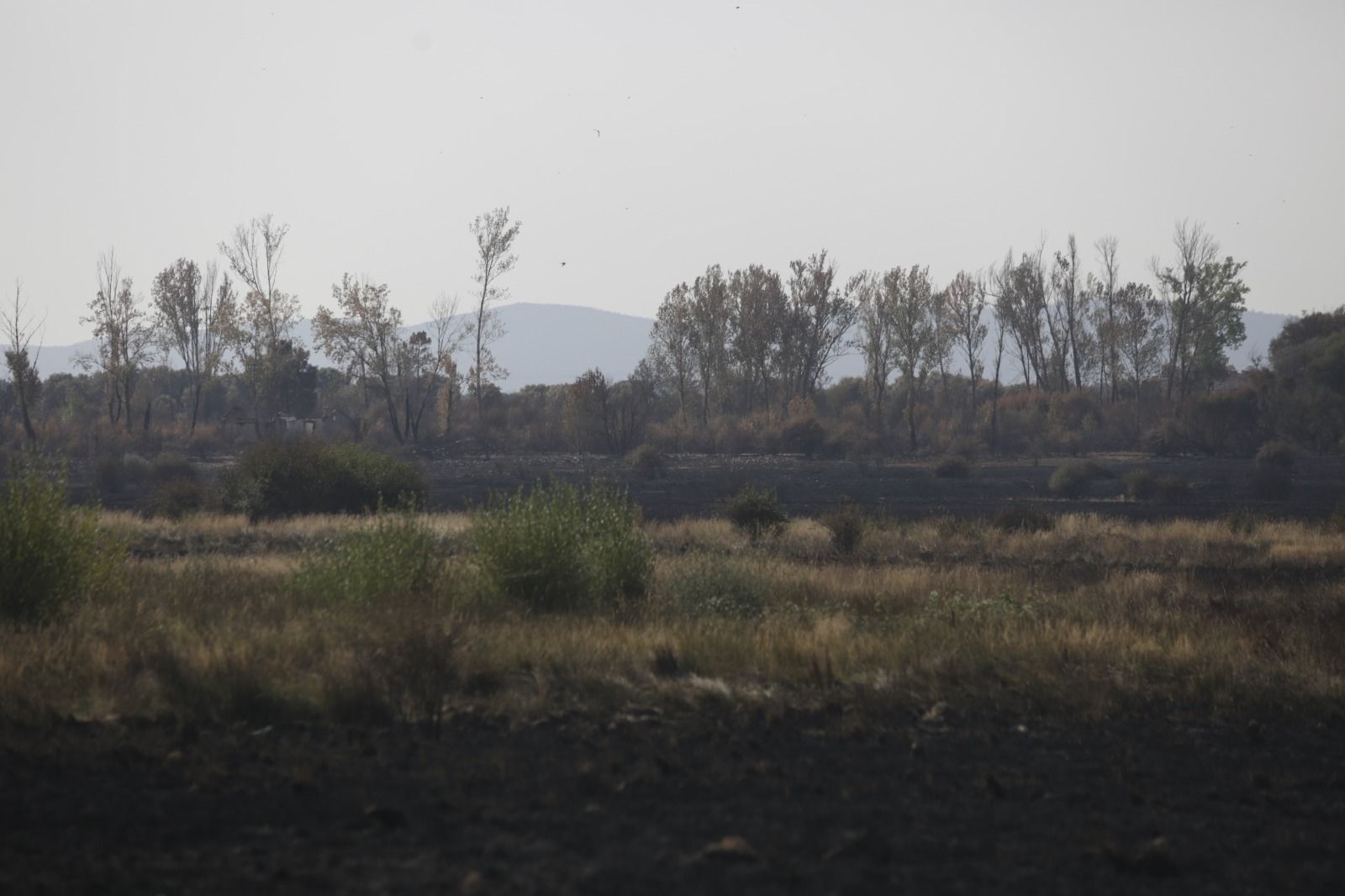 Incendio en la Valduerna Incendio en la Valduerna
